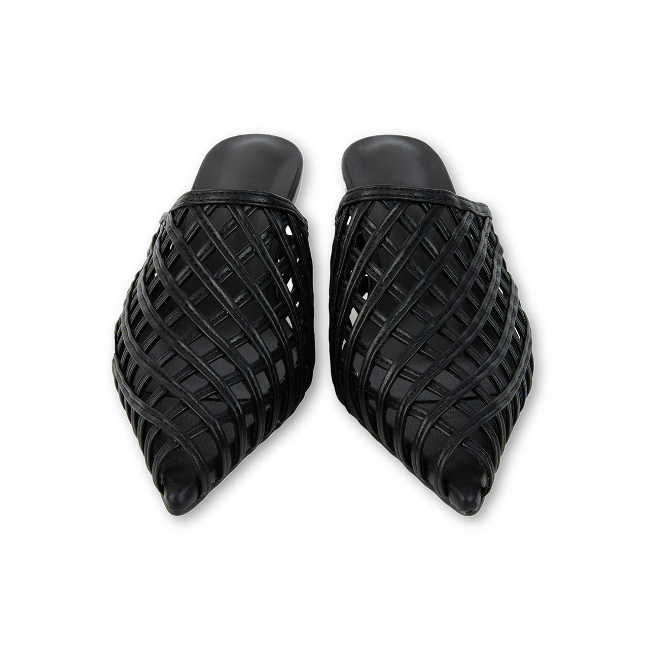 AR-3389 网状中山骡子