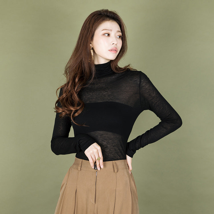 E2514 Sheer Turtleneck Top